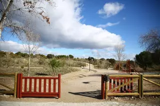 El Ayuntamiento propone a Madrid y ciudades del Noroeste una estrategia común para la gestión de los jabalíes