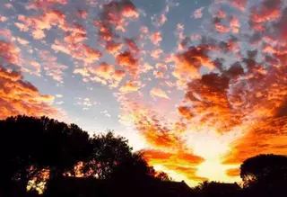 Ya podemos conocer la calidad del aire en Las Rozas en tiempo real
