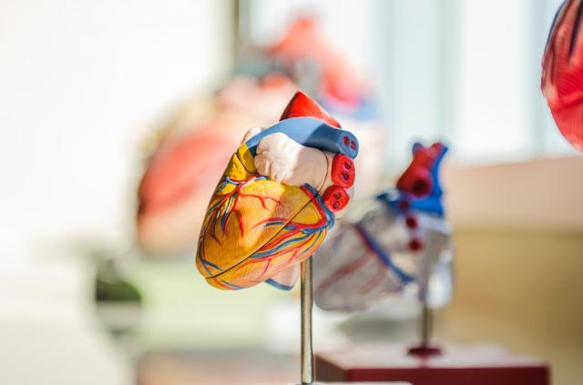 Cardiólogos del Hospital Puerta de Hierro aplican una técnica pionera en la reparación de una válvula tricúspide