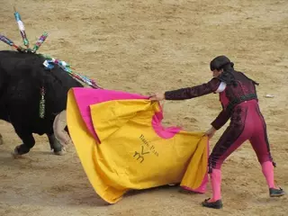 Contigo tilda de 'impresentable' que se regalen entradas a los niños en los Toros