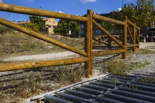 Las Rozas impulsa el enfoque comarcal para afrontar el control de la fauna silvestre