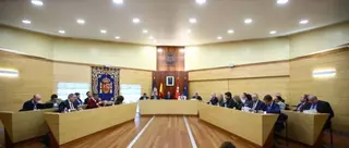El Pleno de Las Rozas aprueba bonificaciones para las familias monoparentales en los precios públicos 

