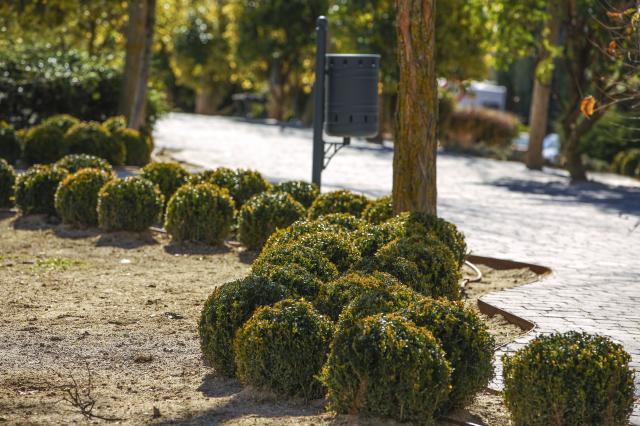 El Ayuntamiento acondicionará el bulevar de la calle Camilo José Cela con nuevas zonas ajardinadas 
