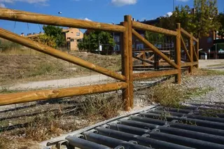 El Ayuntamiento de Las Rozas incrementará un 160% la inversión para la gestión de la fauna silvestre