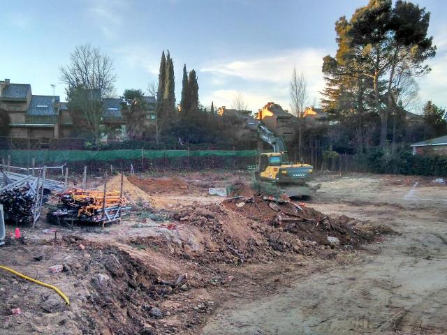 Contigo Por Las Rozas denuncia la tala de 55 árboles de gran porte y antigüedad