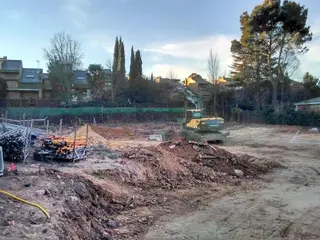 Contigo Por Las Rozas denuncia la tala de 55 árboles de gran porte y antigüedad