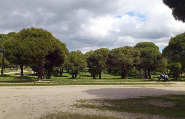El Ayuntamiento de Las Rozas renueva su colaboración con la Asociación Histórico Cultural Cierzo