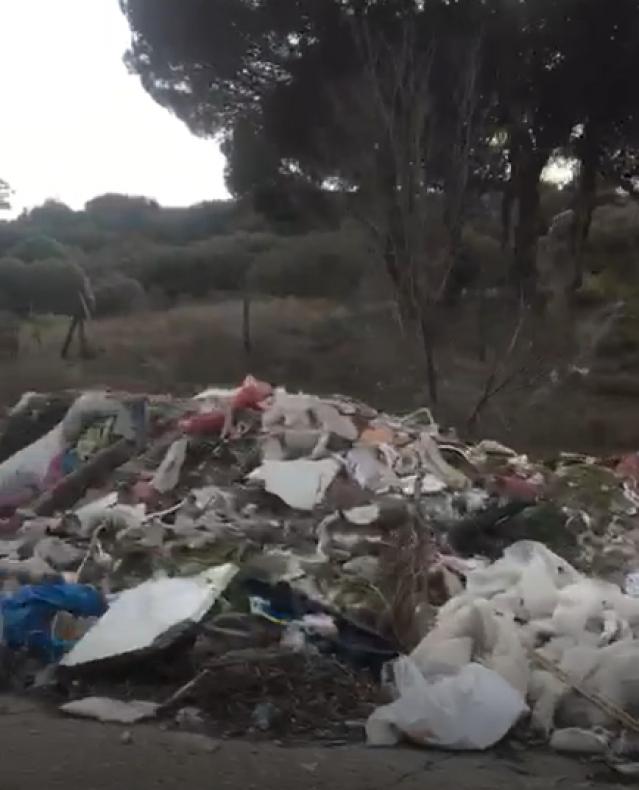 Vecinos de Molino de la Hoz denuncian un vertedero ilegal en 
el Parque Regional del Guadarrama