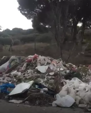 Vecinos de Molino de la Hoz denuncian un vertedero ilegal en 
el Parque Regional del Guadarrama