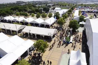 Dog Day, Festibike y Mujer Creativa, nuevas ferias aprobadas por la Junta de Gobierno