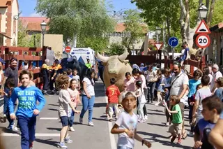 Las Fiestas de San José en Las Matas y la Virgen del Retamar en Las Rozas marcan la agenda de ocio del fin de semana