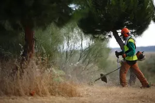 Comienza la operación de desbroce y tratamientos del terreno para prevenir incendios en la época estival
