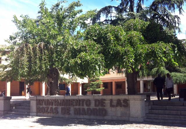 Aprobado el Plan Estratégico de Subvenciones del Ayuntamiento de Las Rozas