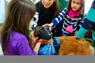 El Ayuntamiento impulsa la educación en el cuidado responsable de mascotas mediante talleres escolares