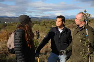 El Ayuntamiento de Las Rozas colabora junto a Hyundai en la plantación de 600 árboles
