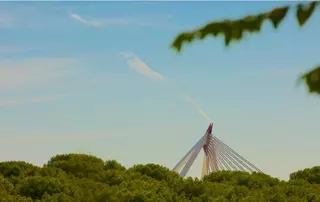 La Comunidad de Madrid aprueba la inclusión de Las Rozas en el régimen organizativo de "Gran Población"