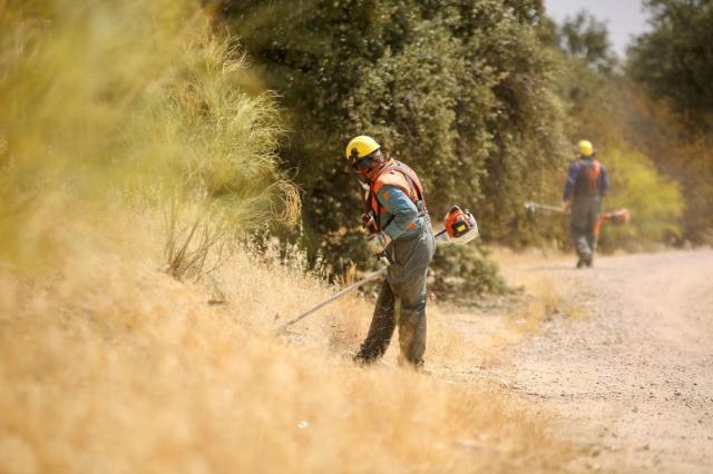 En marcha la campaña municipal de desbroces para minimizar el riesgo de incendio en la época estival 

