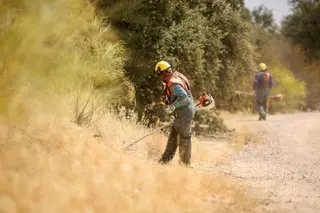 En marcha la campaña municipal de desbroces para minimizar el riesgo de incendio en la época estival 
