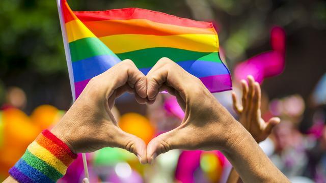 Unidas por Las Rozas pregunta al gobierno local si contempla iniciativas de visibilización del Día Internacional del Orgullo