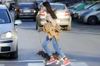 Las Rozas, entre las 25 ciudades de España más seguras para conductores, peatones y ciclistas