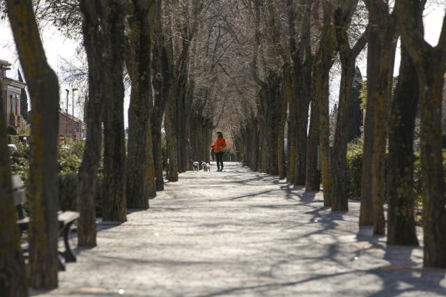 Las Rozas organiza un encuentro europeo para avanzar en soluciones innovadoras a retos medioambientales de la ciudad