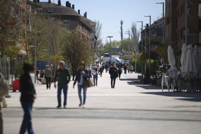 El Pleno aprueba poner en marcha los órganos de participación previstos para el régimen de Gran Ciudad