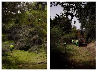 En marcha las labores de mantenimiento y limpieza en ocho barrancos naturales de Las Rozas