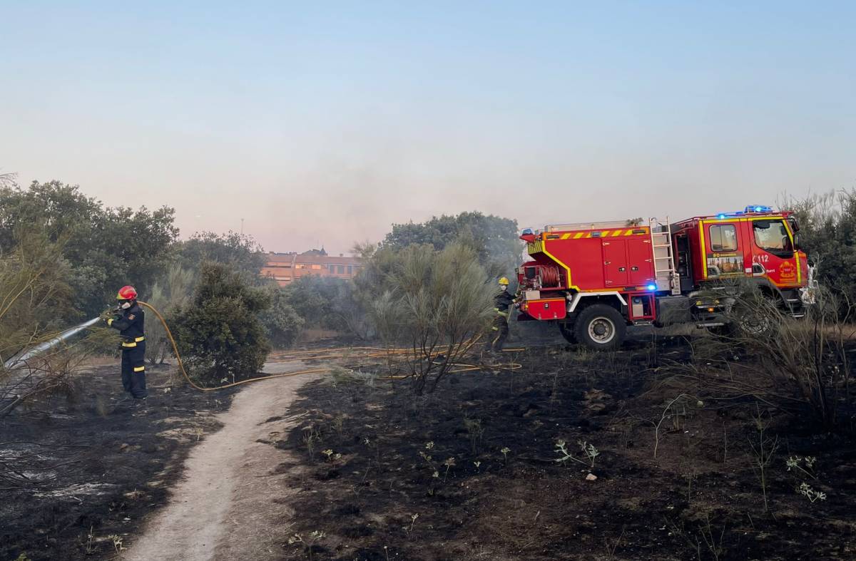Incendio en la zona natural del Parque Empresarial de Las Rozas 