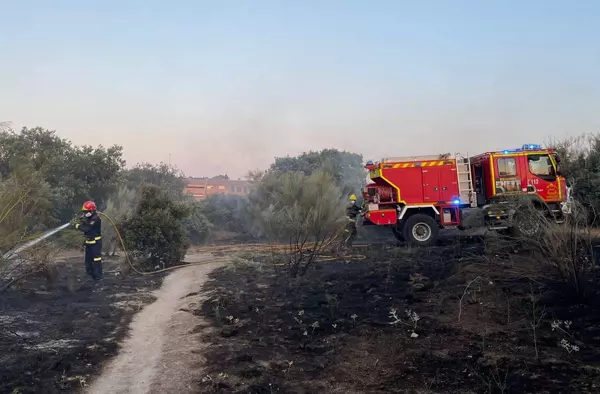 Incendio en la zona natural del Parque Empresarial de Las Rozas 