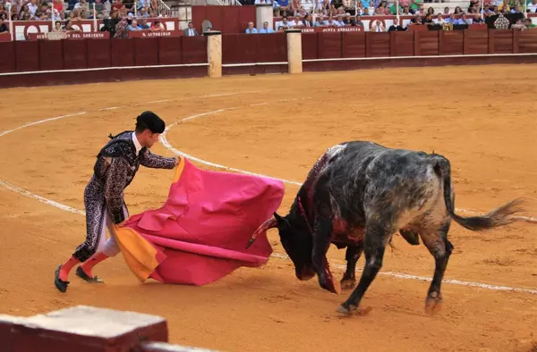 Unidas pide terminar con la financiación municipal de los festejos taurinos y dejar de considerarlos servicio público