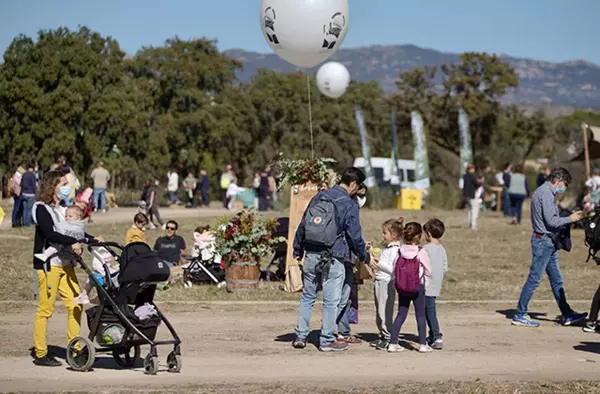 Entra en vigor en Las Rozas la rebaja de impuestos a familias numerosas, sostenibilidad y creación de empleo 