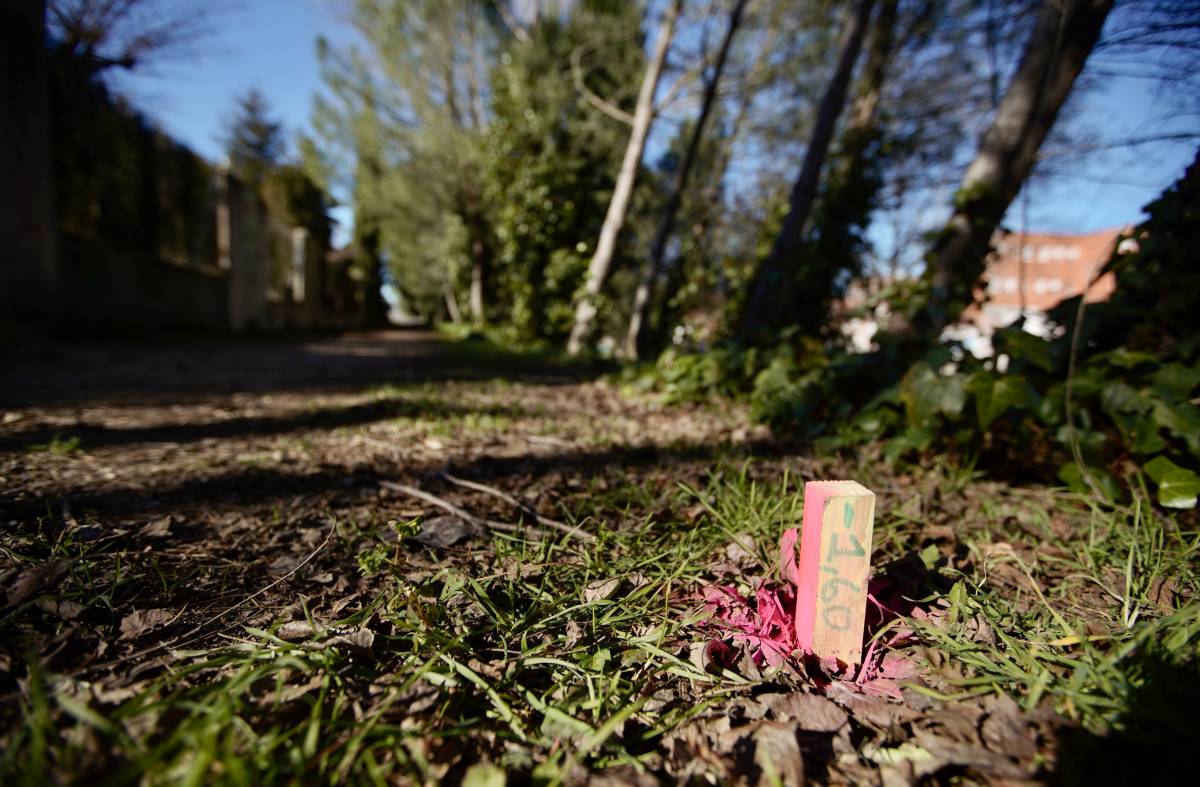 El entorno del arroyo de Perales renueva sus infraestructuras y equipamientos
