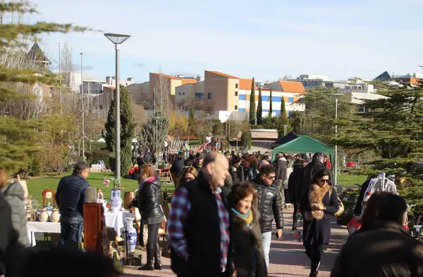 Vuelven los Mercadillos a Las Rozas, este mes: Mercado vecinal de segunda mano y El Rastro