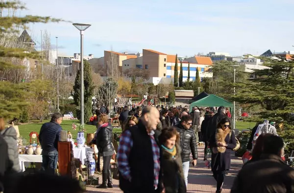 Mercadillo de segunda mano, ópera o Carnaval entre las propuestas para este fin de semana en Las Rozas