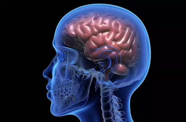 La científica Isabel Fariñas ofrece en Las Rozas la conferencia 'Base y Falacia del Neurosexismo' 