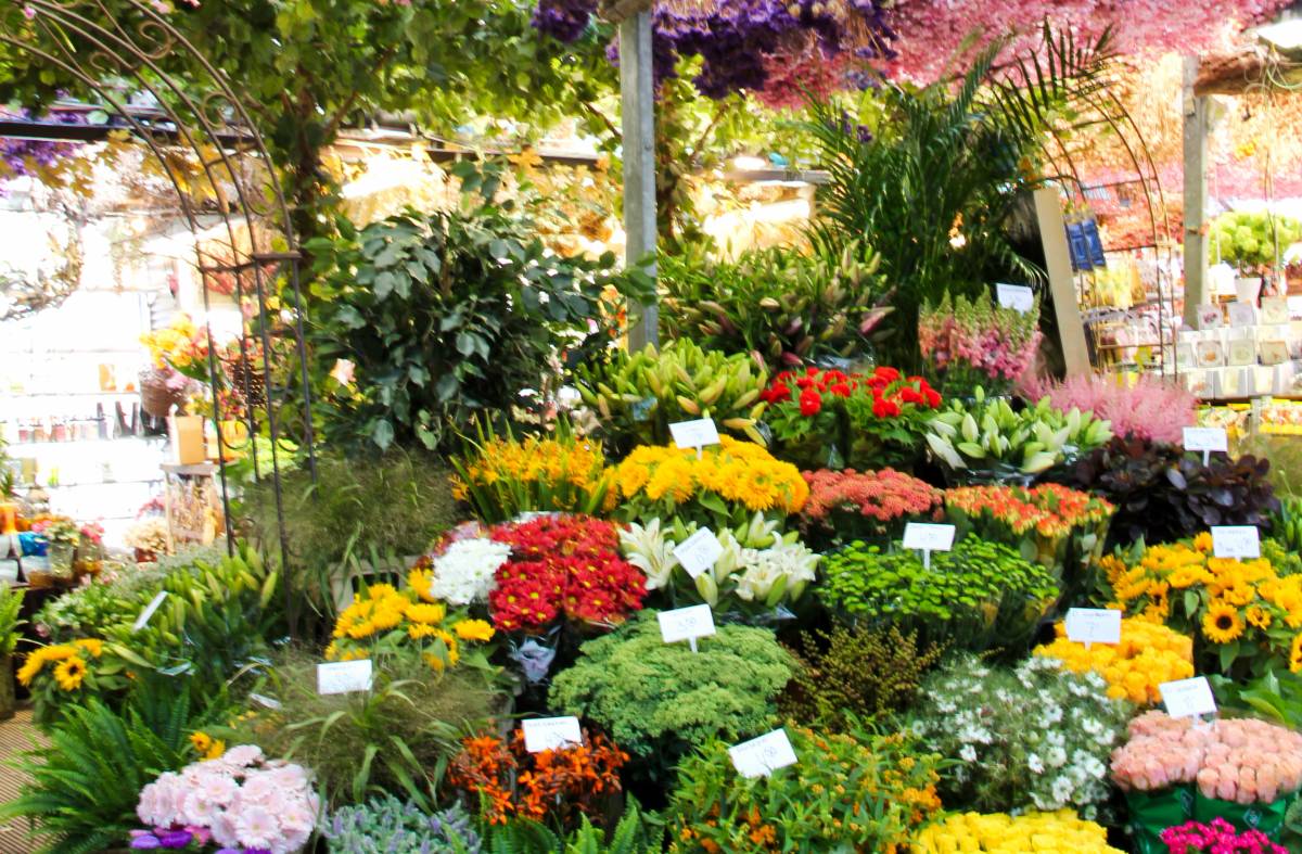 Las Rozas acoge este fin de semana la Fiesta de la Primavera con mercadillo de flores y actividades para toda la familia