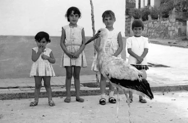 'Las Rozas Recuerda', el registro de la historia del municipio a través de los recuerdos de los vecinos