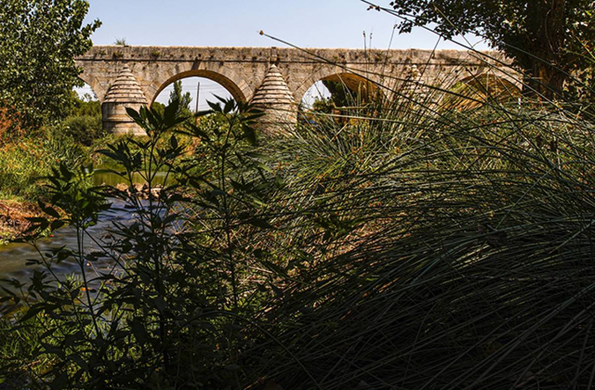 Más de 2 millones de euros para renovar y mejorar las principales cuencas fluviales de Las Rozas