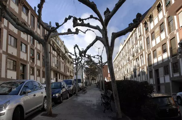 Los barrios de La Suiza y Las Vírgenes de Las Rozas son declarados entornos para rehabilitar 