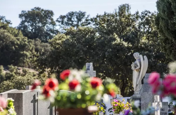 Los cementerios de Las Rozas amplían sus horarios con motivo de la festividad de Todos los Santos