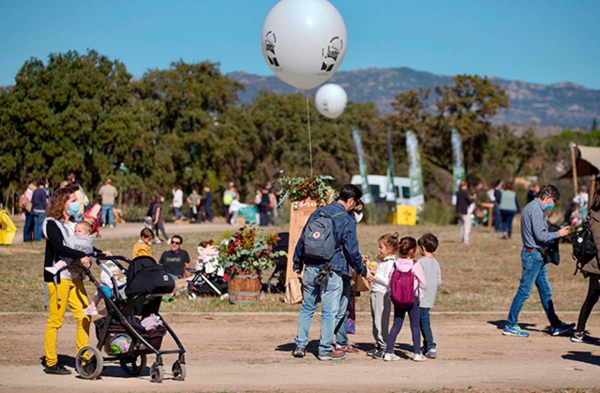 Música, gastronomía y actividades al aire libre, planes para el fin de semana en Las Rozas