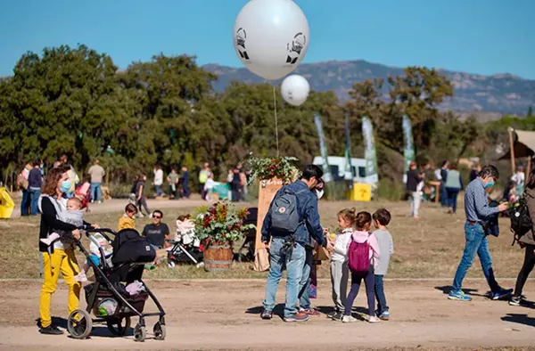 Música, gastronomía y actividades al aire libre, planes para el fin de semana en Las Rozas