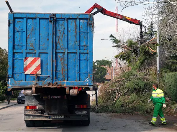 Las Rozas comienza la campaña municipal de recogida gratuita de grandes podas domiciliarias