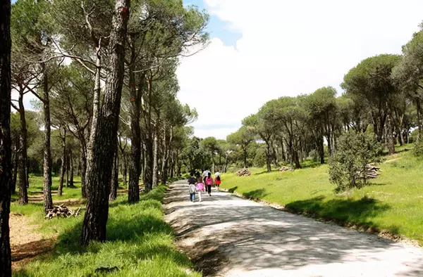 Experimentación, descubrimiento y juego en el nuevo programa gratuito de Educación Ambiental de Las Rozas