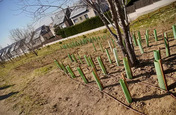 Las Rozas alcanza las 50 áreas caninas con una nueva instalación en El Montecillo