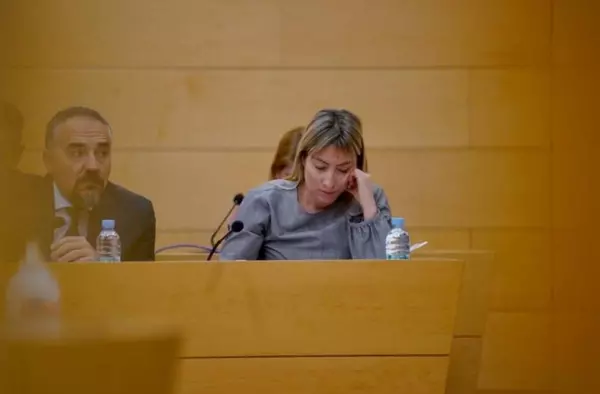 Rechazado el plan de ayudas sociales para jóvenes, familias monoparentales y mayores propuesto por Unidas por Las Rozas 