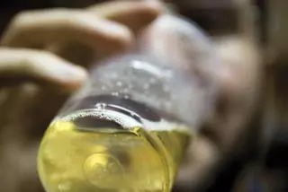 Encuesta sobre consumo de alcohol entre adolescentes roceños