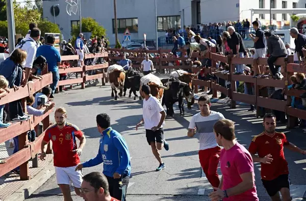 Programa de Fiestas de Las Rozas hoy: Domingo 1 de Octubre