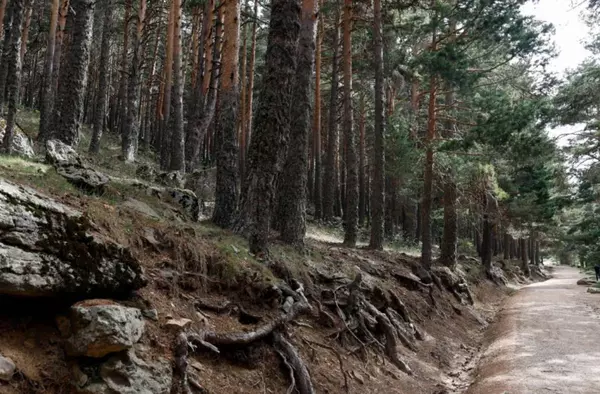 El 'Arco Verde' finalizará su trazado en 2024 con 200 nuevos kilómetros de zonas naturales