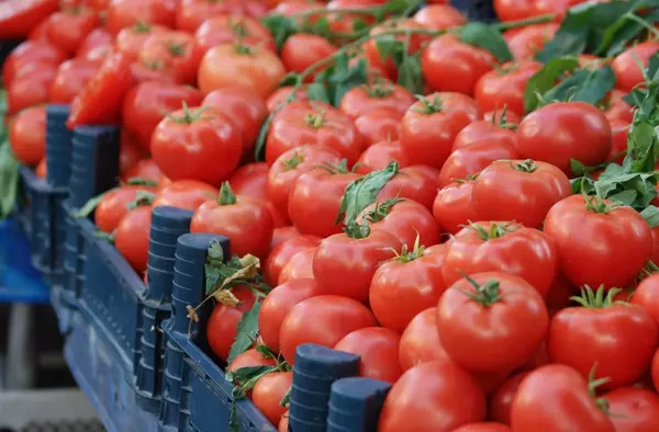 Las Rozas acogerá el 'Mercado de Tomates': degustaciones, talleres, concursos, puestos, música en vivo y más 